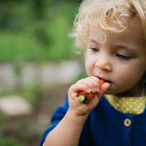 Best Nutrients for my Child's Eyes 
