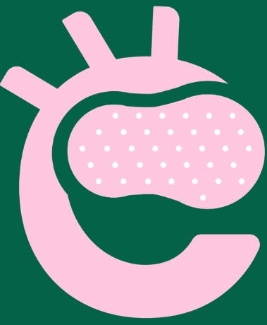  Speckles Image 
